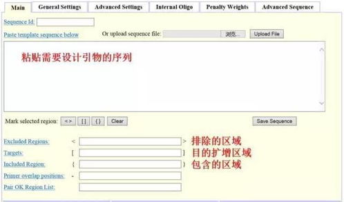 設(shè)計(jì)引物怕踩坑？這3款在線軟件輕松掃雷——淄博軟件設(shè)計(jì)指南